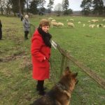 Yvonne Sjoerdsma-Metselaar